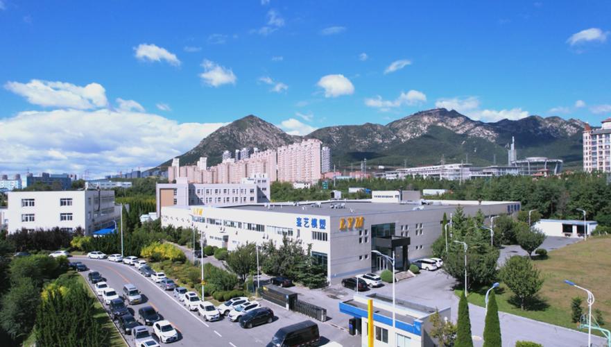 大连銮艺精密科技股份 全方位介绍及业务范畴概览